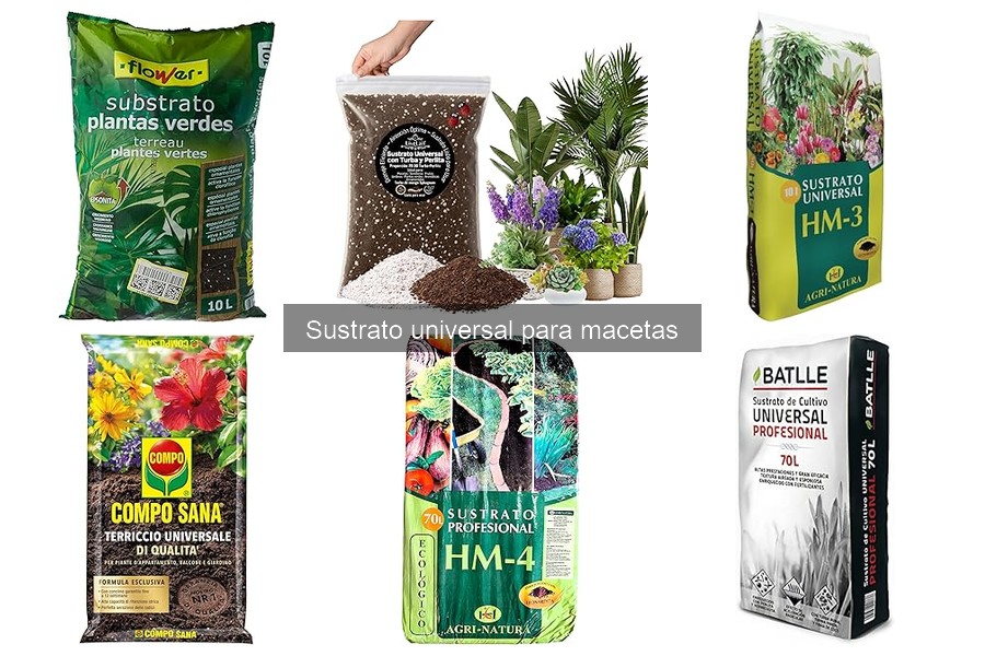 Errores comunes al usar sustrato universal para macetas
