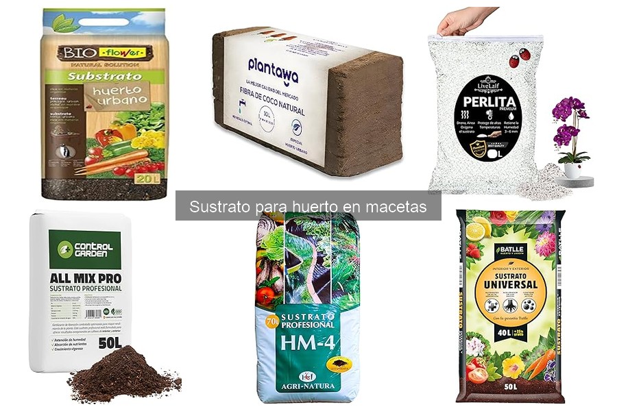 Errores comunes al usar sustratos en macetas para huertos