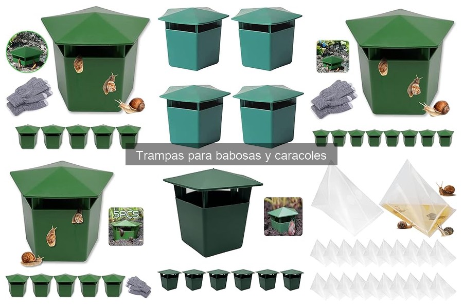 Errores Comunes al Usar Trampas para Babosas y Caracoles