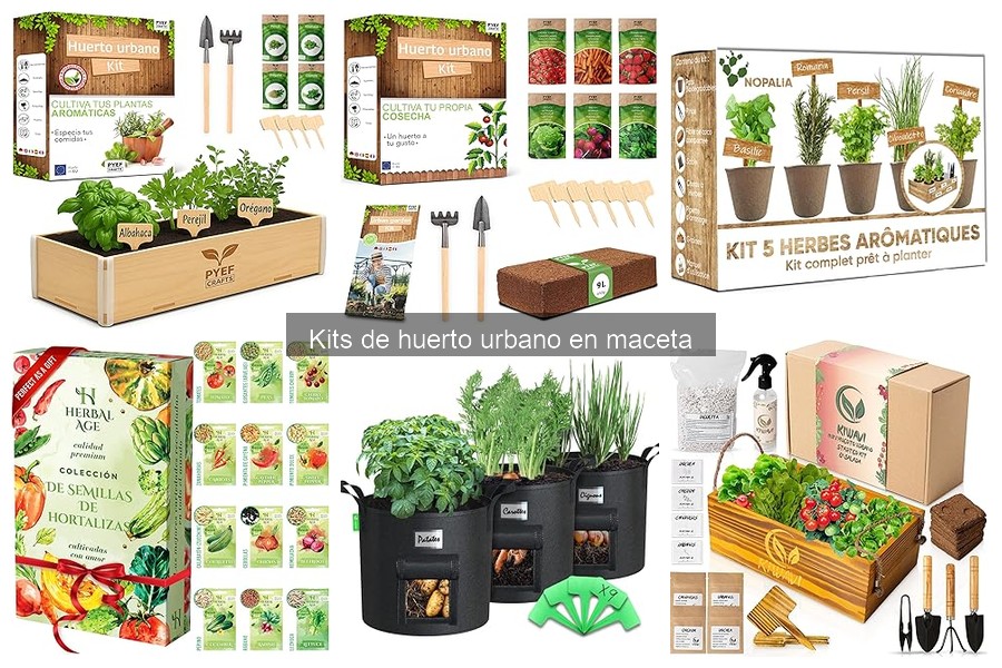 Errores comunes al usar un kit de huerto urbano en maceta