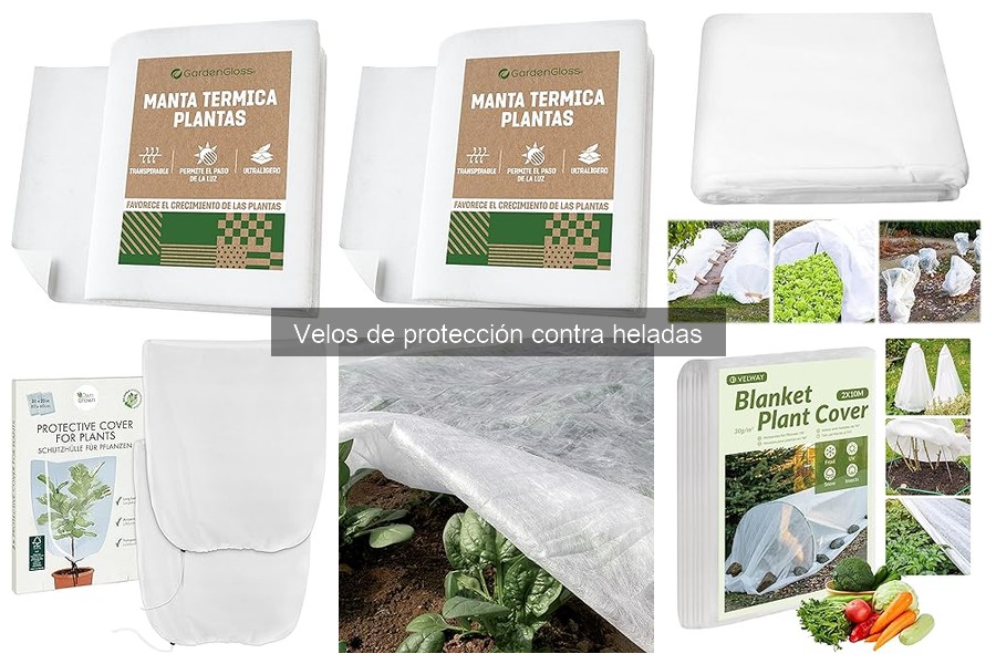 Errores comunes al usar velos de protección contra heladas
