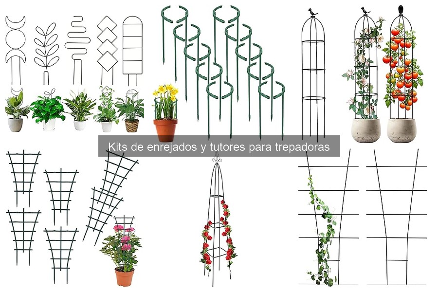 ** Errores comunes en enrejados y tutores para plantas trepadoras