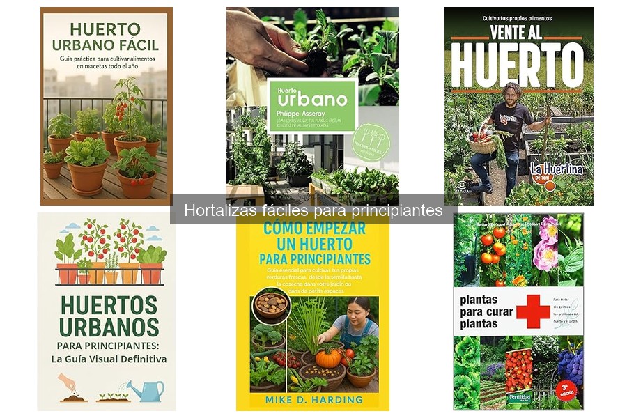 Errores frecuentes al sembrar hortalizas y cómo evitarlos