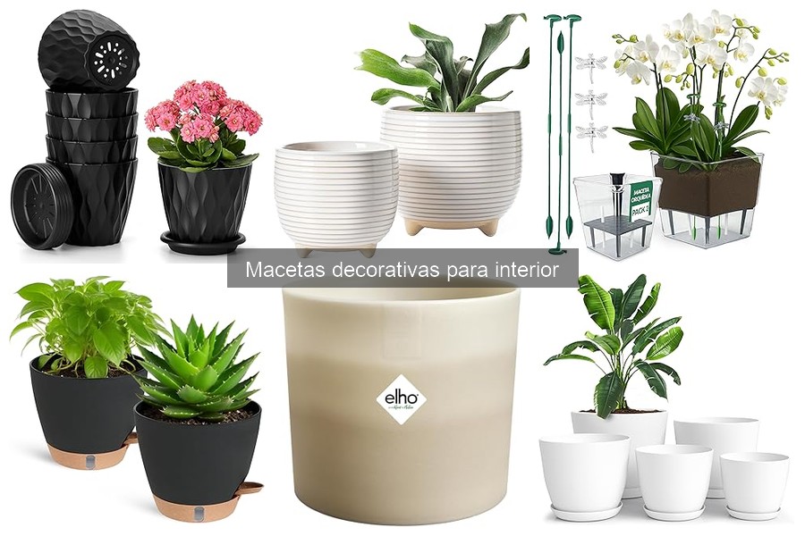 Estilos de decoración interior que combinan con macetas