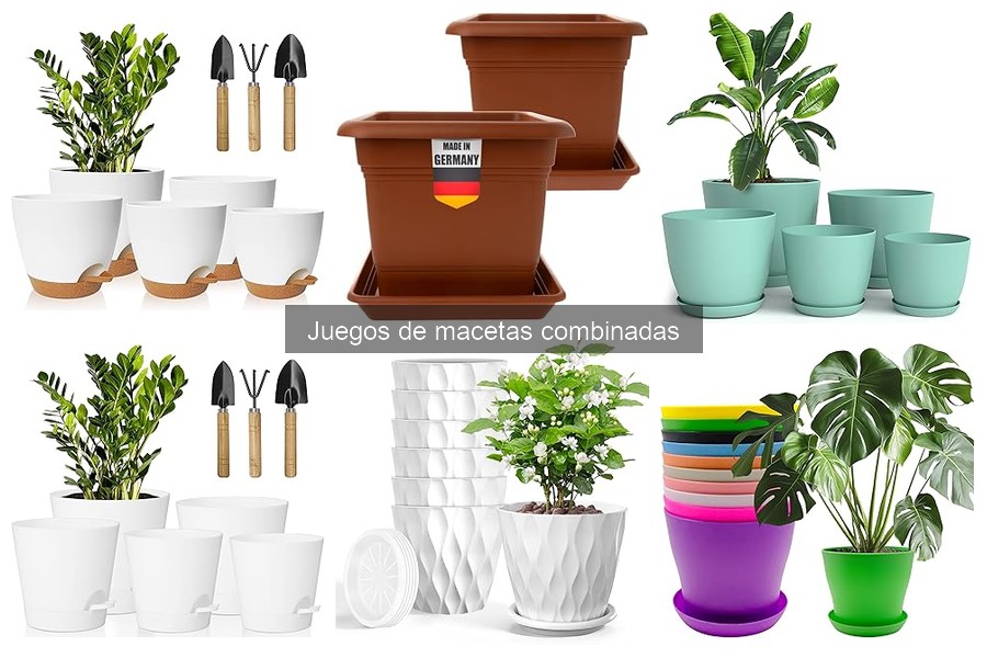 Estilos de diseño para juegos de macetas combinadas en el hogar