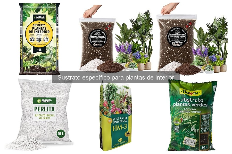 Evita estos errores comunes al usar sustratos para plantas