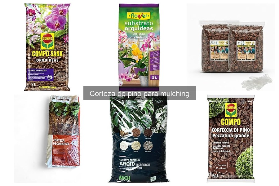 Evita plagas en tu jardín con corteza de pino mulch