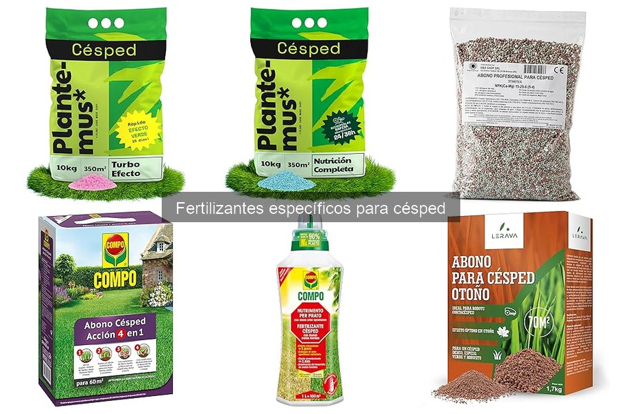 Fertilizantes específicos para césped: ¿qué son y cómo elegir?