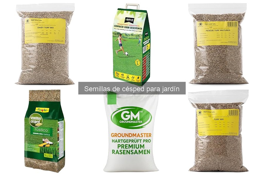Fertilizantes ideales después de sembrar césped