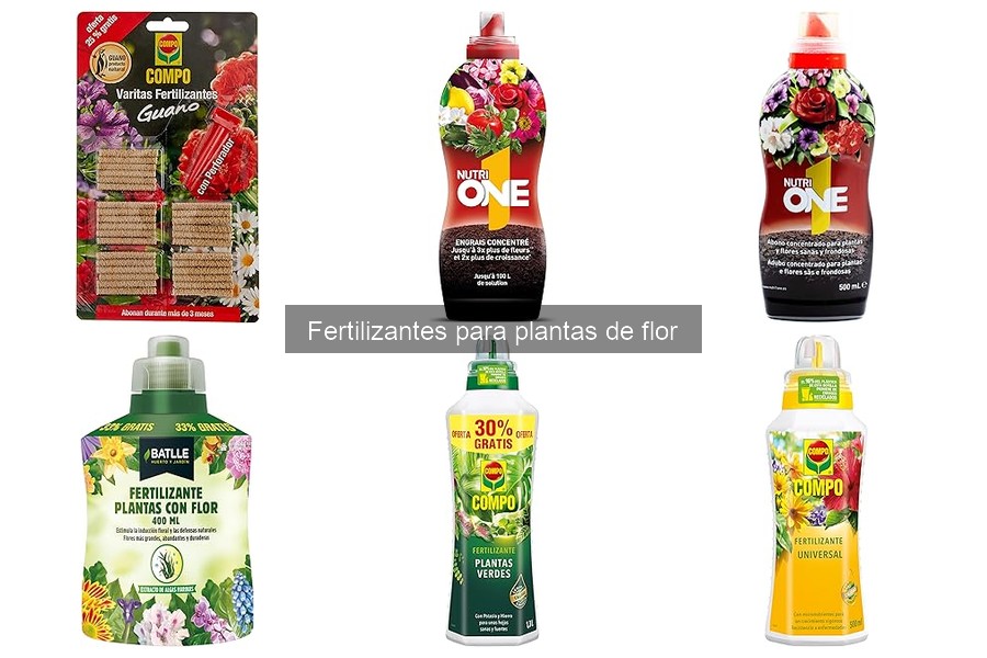 Fertilizantes para plantas de flor: ¿Qué son y cómo usar?