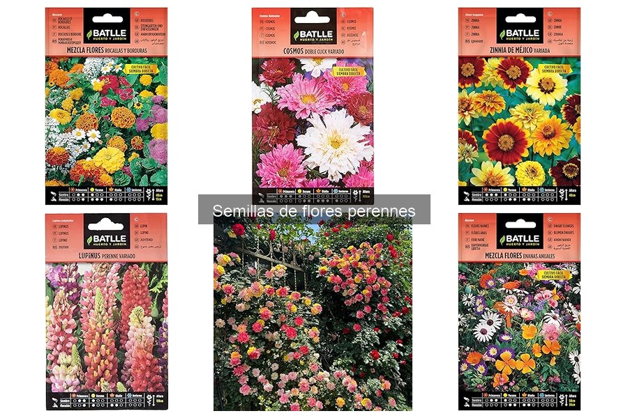 Flores perennes que florecen todo el año para tu jardín