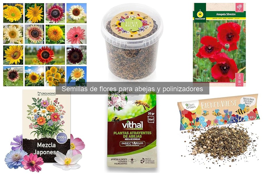 Flores seguras para polinizadores: guía de cultivo