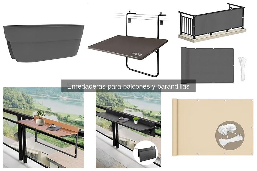 Forrar barandillas con enredaderas: pros y contras