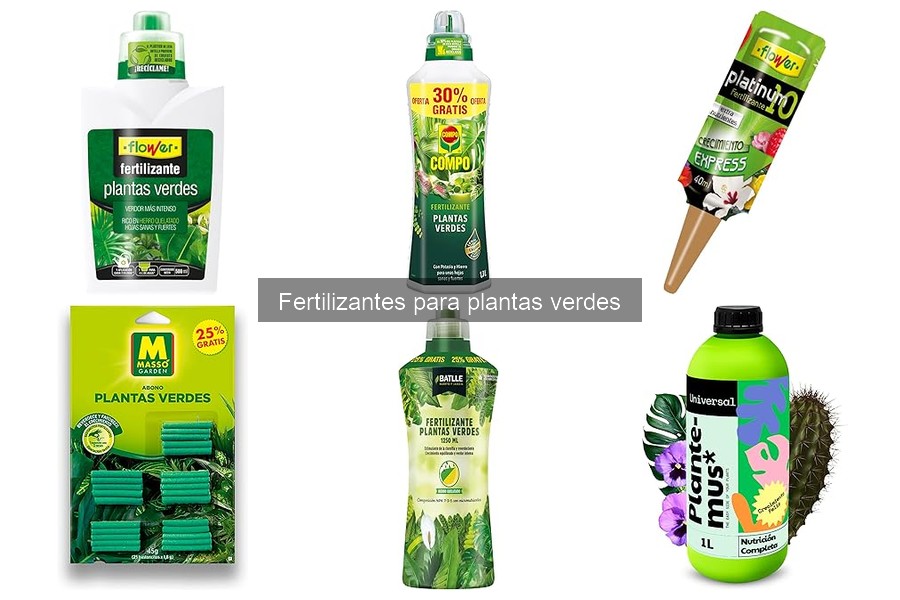 Frecuencia ideal de fertilización para plantas verdes