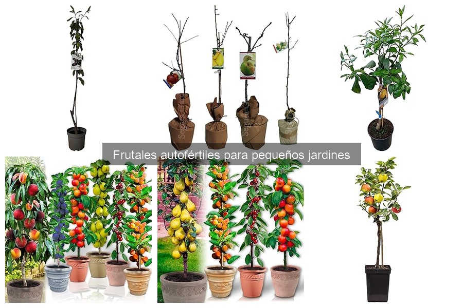 Frutales Autofértiles: Cómo Combinar con Otras Plantas del Jardín