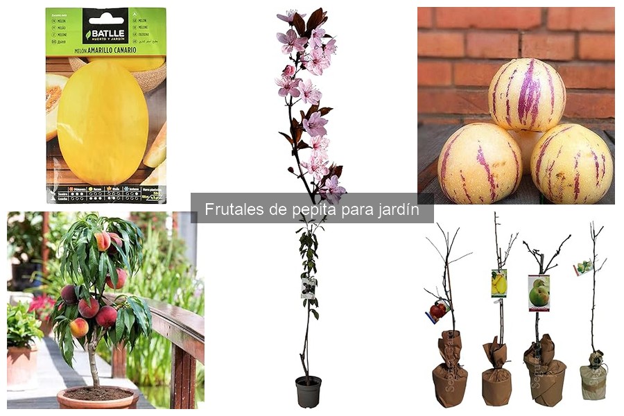 Frutales de Pepita Ideales para Jardines Pequeños