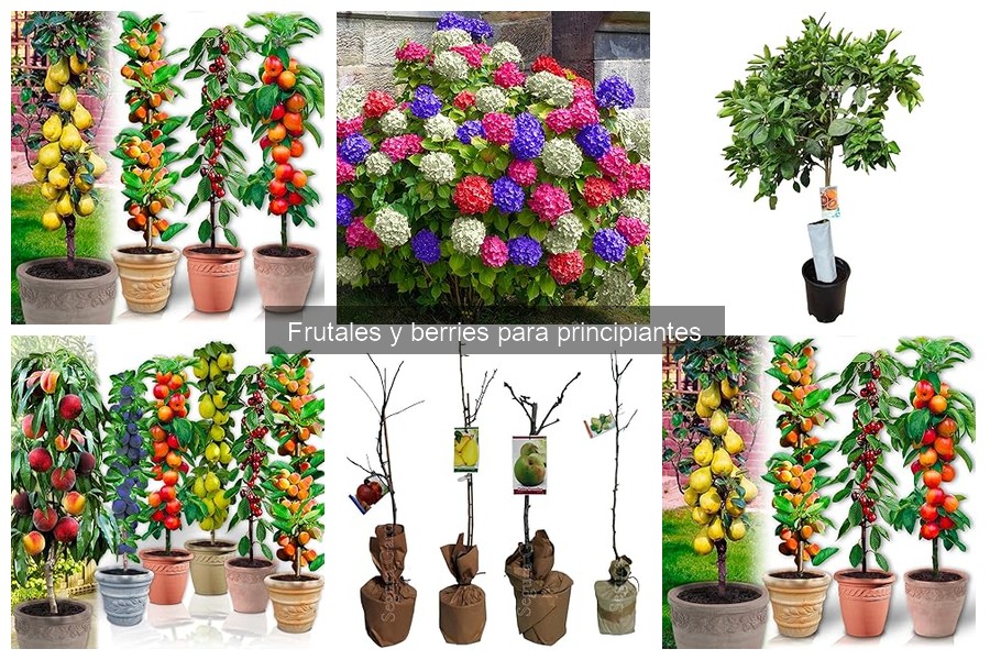 Frutales que Atraen Polinizadores al Jardín: Guía para Principiantes