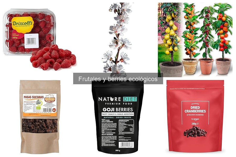 Frutales y Berries Ecológicos: Beneficios y Características