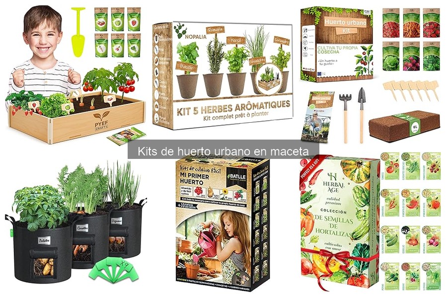 Guía básica sobre kits de huerto urbano en maceta