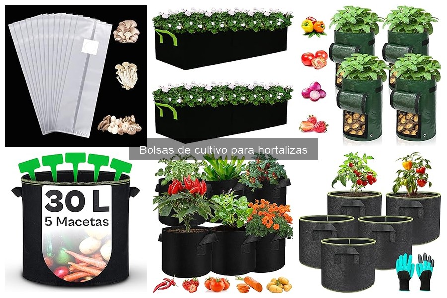 Guía de bolsas de cultivo para hortalizas: ¿qué son y cómo usarlas?