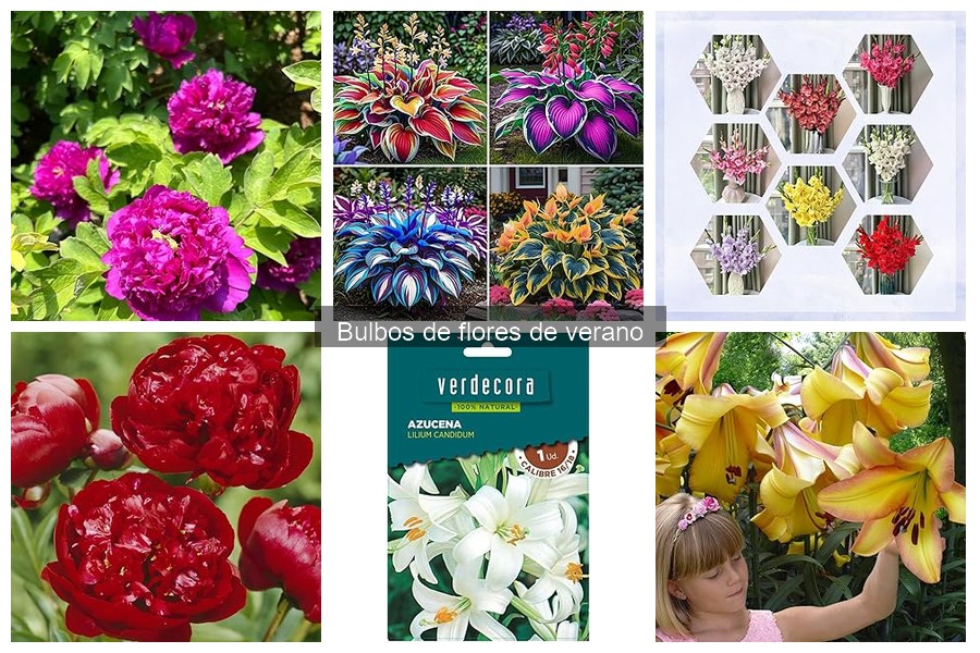 Guía de compra: Bulbos de flores de verano para tu jardín