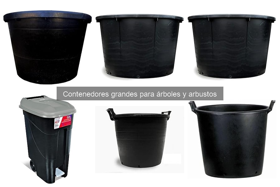 Guía de compra: contenedores grandes para árboles y arbustos