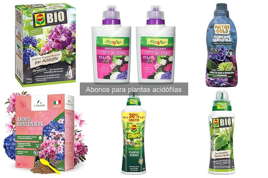 Guía de compra de abonos para plantas acidófilas