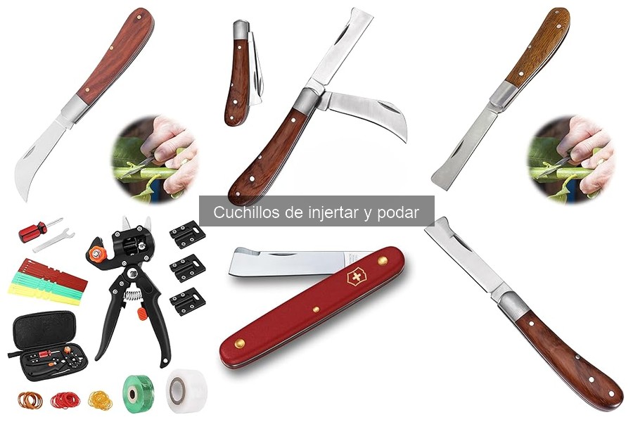 Guía de compra de cuchillos de injertar y podar para jardinería