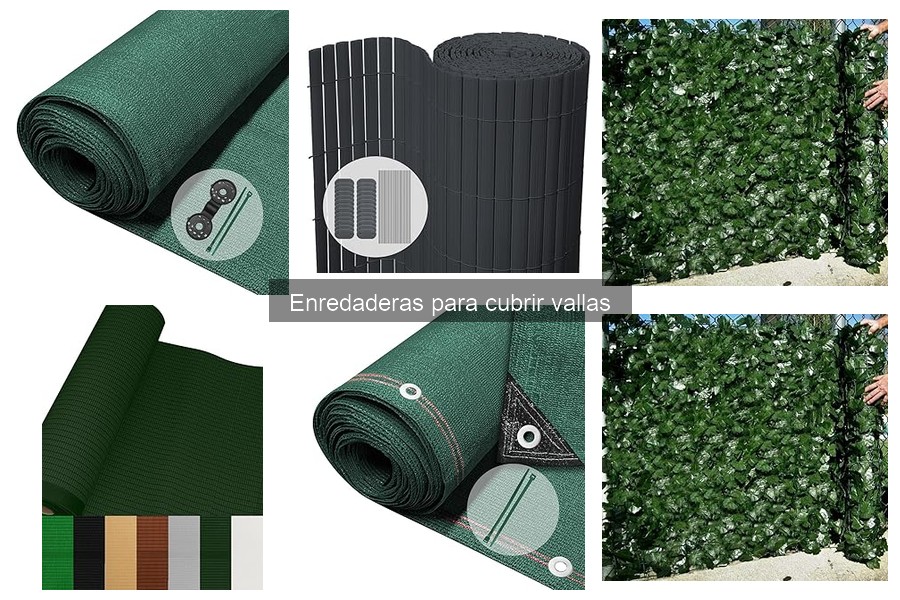 Guía de compra de enredaderas para cubrir vallas