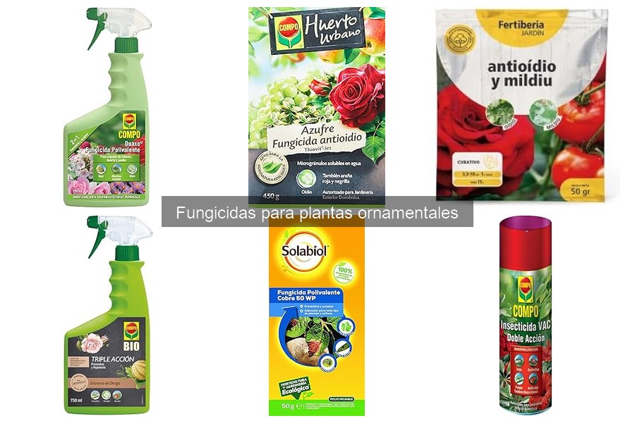 Guía de compra de fungicidas para plantas ornamentales