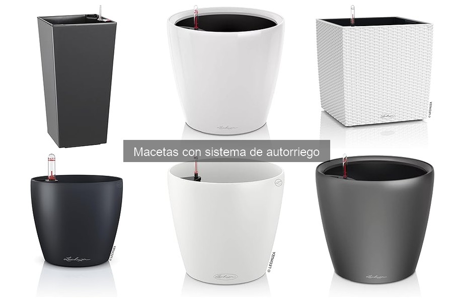 Guía de compra de macetas con autorriego para tu hogar