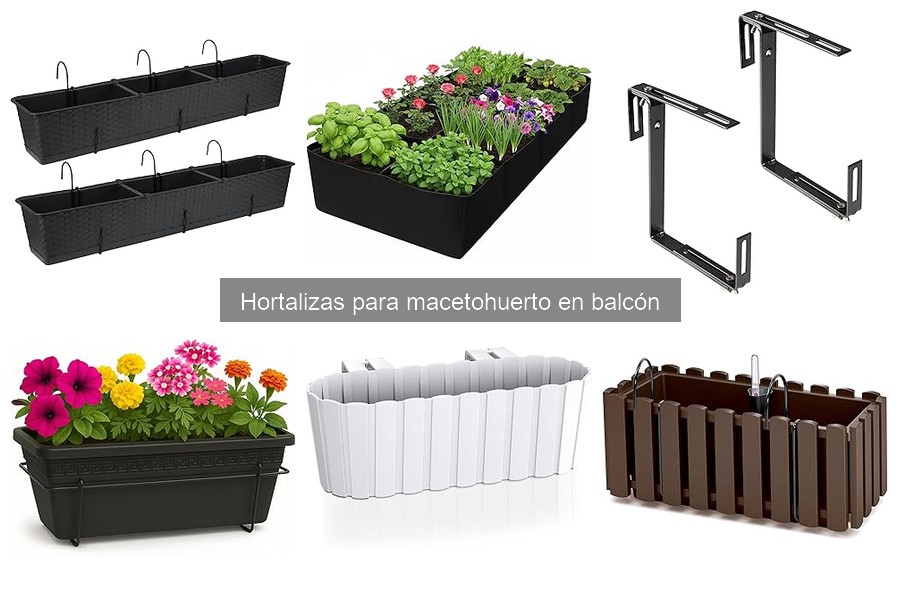 Guía de compra de macetas para hortalizas en balcón