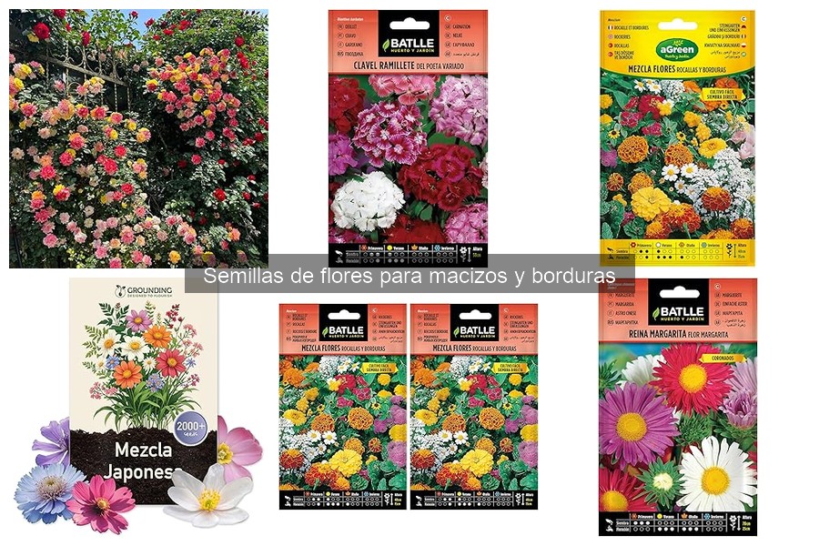 Guía de compra de semillas de flores para tu jardín