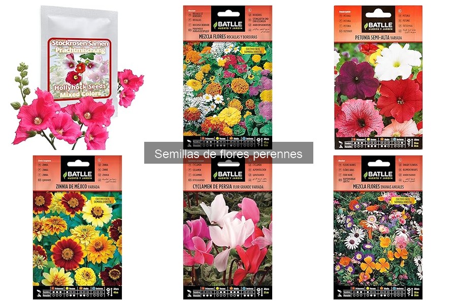 Guía de compra de semillas de flores perennes