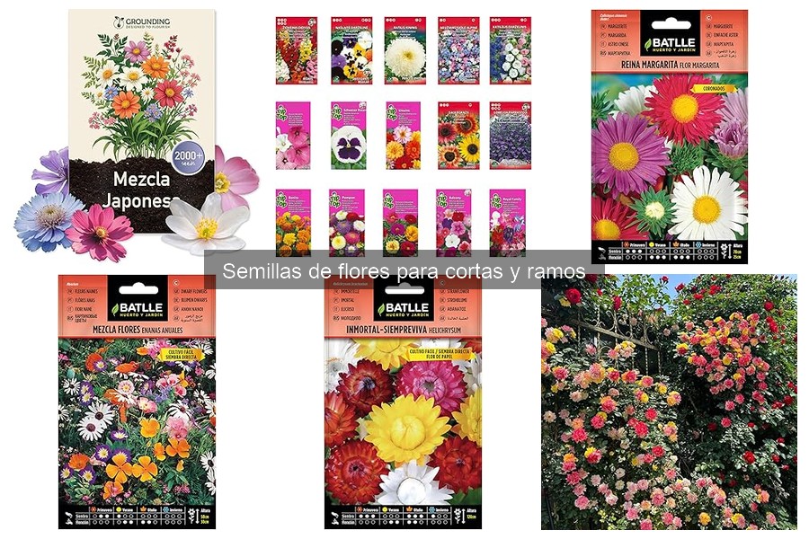 Guía de Compra: Semillas de Flores para Cortas