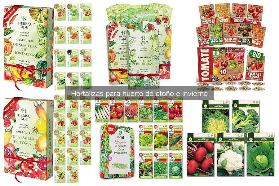 Guía de cultivo de hortalizas en otoño e invierno