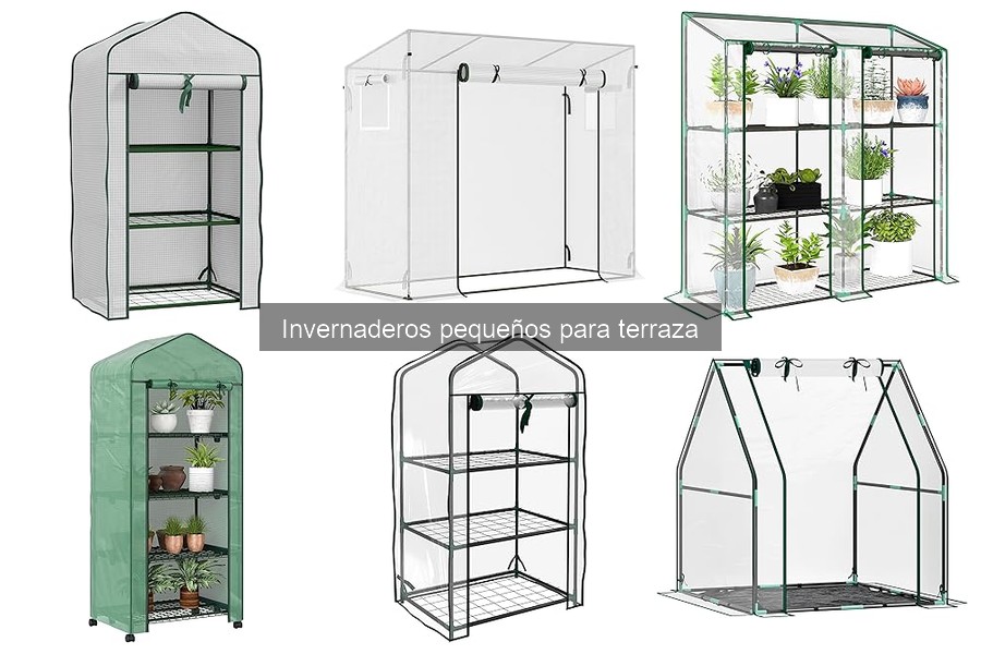 Guía de instalación de invernaderos pequeños en terrazas