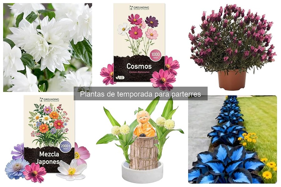 Guía de Mantenimiento de Plantas de Temporada para Parterres
