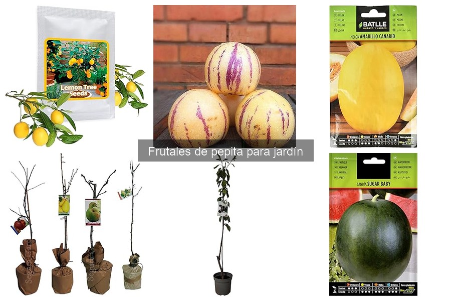 Guía de plantación de frutales de pepita en el jardín