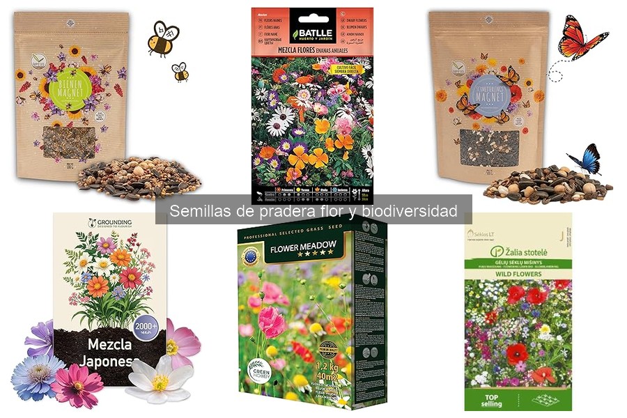 Guía de Siembra de Semillas de Pradera Floral