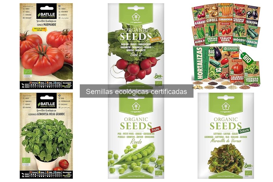 Guía fácil para sembrar semillas ecológicas certificadas