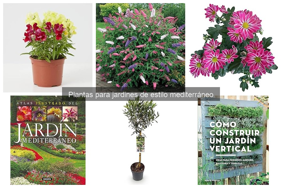 Guía para diseñar un jardín mediterráneo atractivo