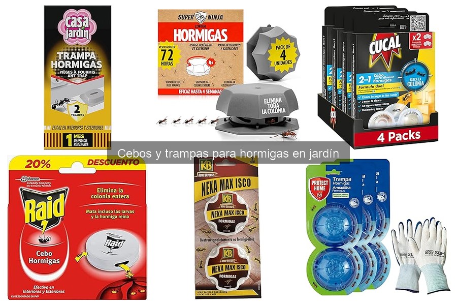 Guía para Elegir Cebos y Trampas para Hormigas en el Jardín