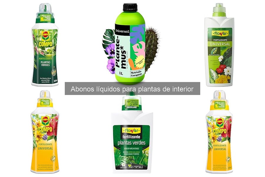 Guía para elegir el mejor abono líquido para plantas