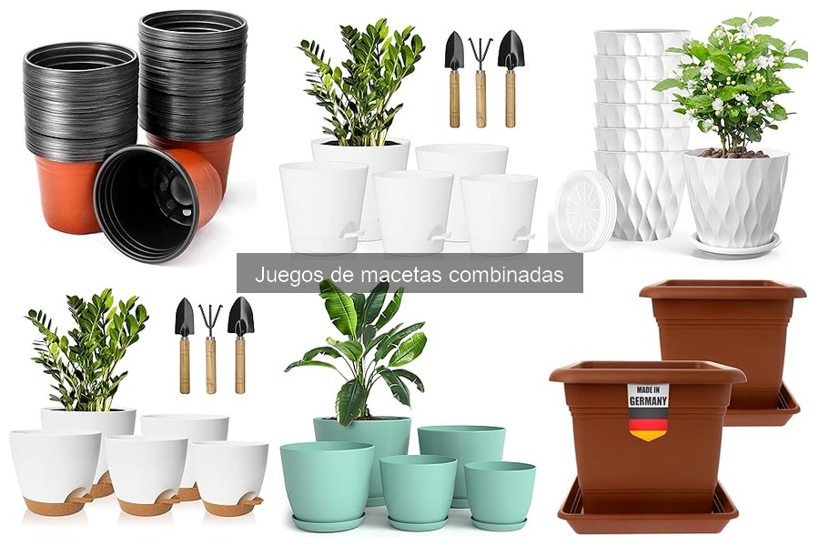 Guía para elegir el mejor juego de macetas combinadas