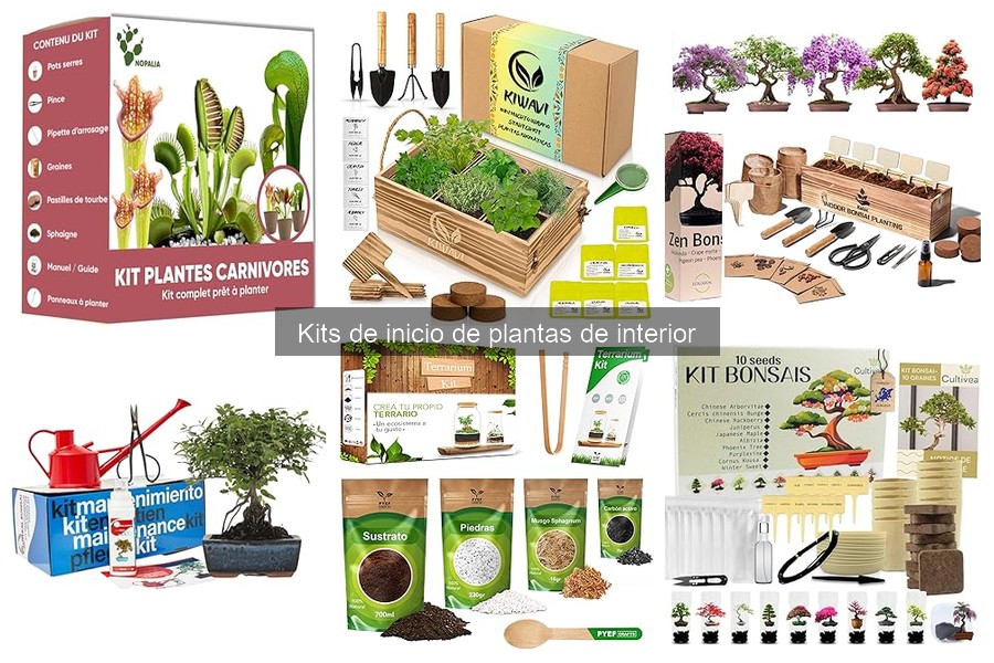 Guía para elegir el mejor kit de inicio de plantas de interior