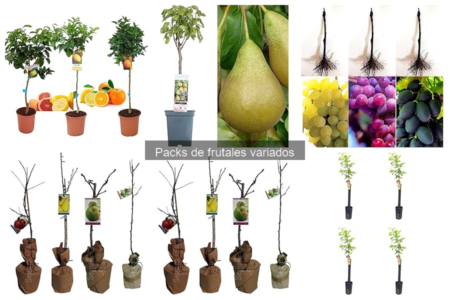 ** Guía para elegir el mejor pack de frutales variados