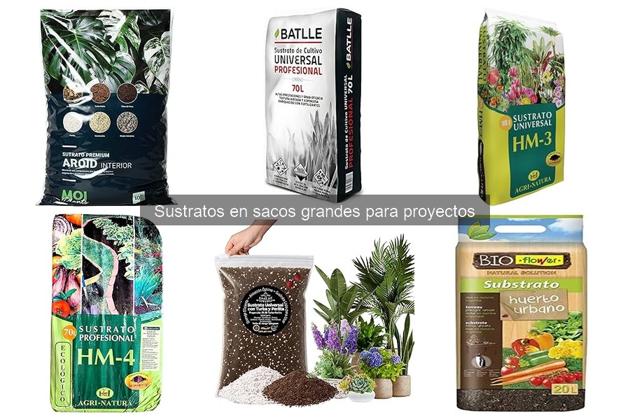 Guía para Elegir el Mejor Sustrato en Sacos Grandes