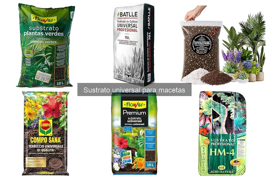 Guía para Elegir el Mejor Sustrato Universal para Macetas