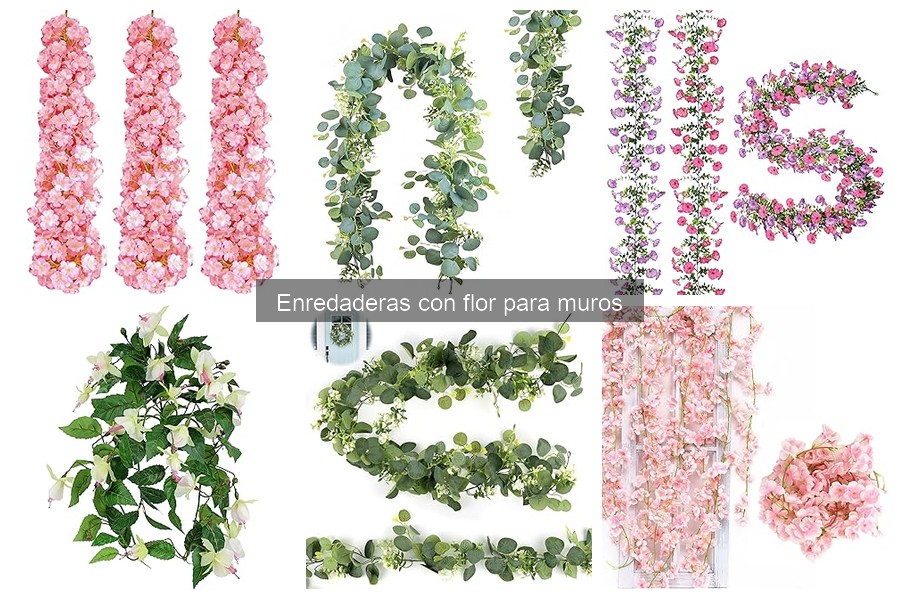 Guía para Elegir Enredaderas con Flor para Muros